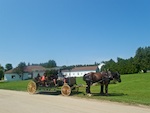 a horse and buggy on Mackinac Island Susan's Story, a horse and buggy on Mackinac Island