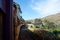 Susan's Story, Taieri River Gorge Railway going over the magnificent iron Wingatui Viaduct