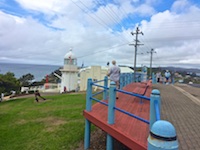 Susan's Story, The Killer Whale Museum in Eden, New South Wales
