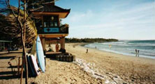 Photo from Susan's Story, Bali Indonesia