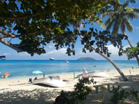 The beach at Dravuni Island Photo from Susan's Story, The beach at Dravuni Island