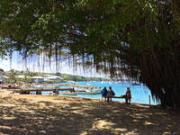 The Vavu u harbor Photo from Susan's Story, The Vavu u harbor
