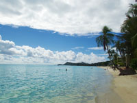 the beach at Bora Bora Susan's Story, the beach at Bora Bora