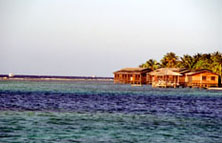 Roatan Photo from Susan's Story, Roatan
