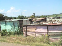 Soweto Susan's Story, Soweto