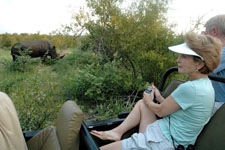 Susan watching the white rhinoceros Susan's Story, Susan watching the white rhinoceros