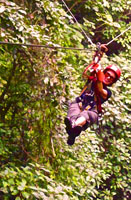 me zip lineing in Costa rica Susan's Story, me zip lineing in Costa rica