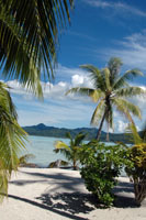 Susan's Story, Bora Bora