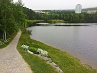 The start of the Corner Brook Stream trail Photo from Susan's Story, The start of the Corner Brook Stream trail