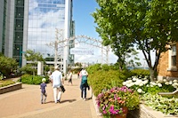 The entrance to the Harbor Walk in downtown Halifax Susan's Story, The entrance to the Harbor Walk in downtown Halifax