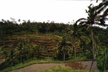 read about our adventure in Indian Asia. Photo from Susan's Story, Bali Indonesia