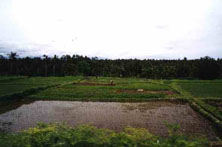Bali is a wonderful place Photo from Susan's Story, Bali Indonesia