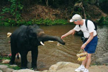 it will be hard to leave this wonderful place Photo from Susan's Story, Chiang Mai